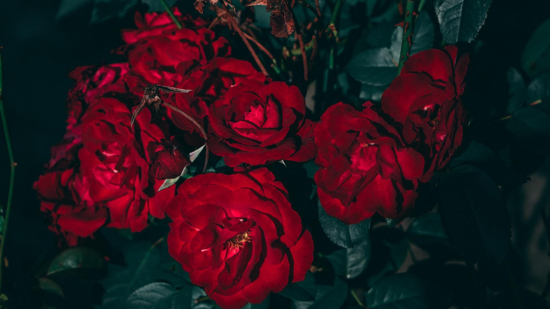 A signature December Floral bouquet